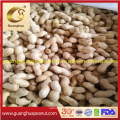 Bulk Price Peanut in Shell From China